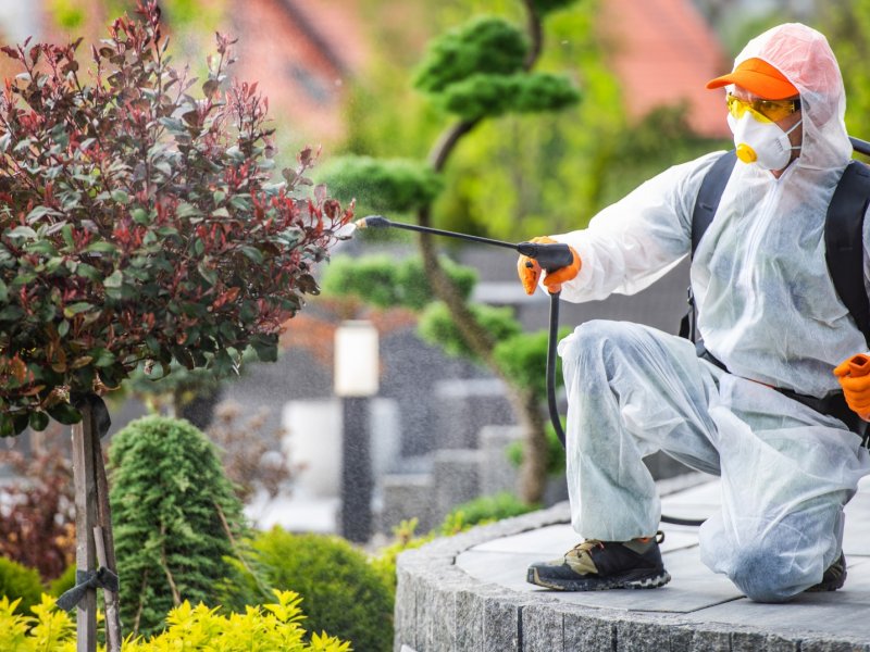 Yıldızeli Haşere İlaçlama